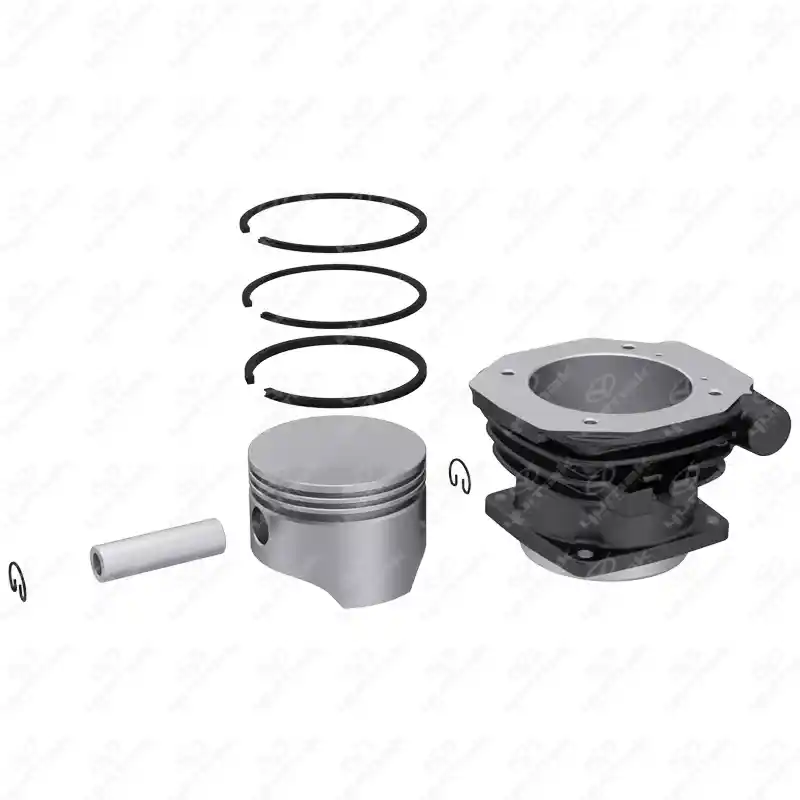 Set di Guarnizioni per Cilindri