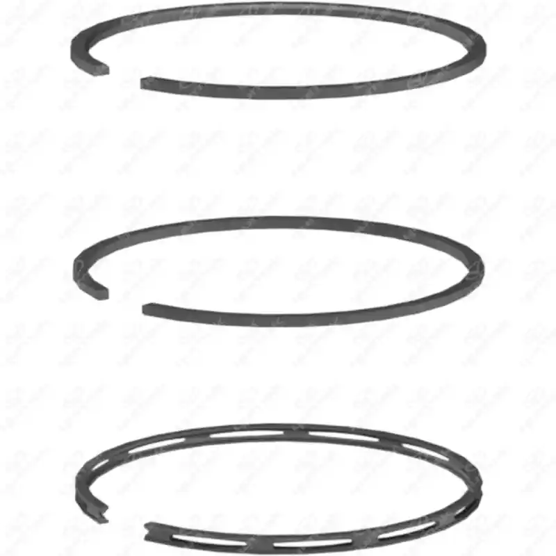 307-092-1002 Anillo - Imagen 1