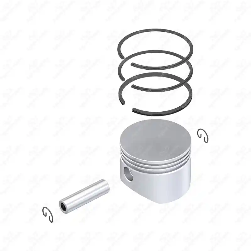 Piston y Anillo