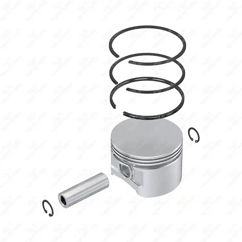 Piston y Anillo